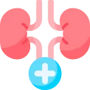 Nephrology