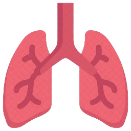 Pulmonology