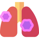 Respiratory Diseases